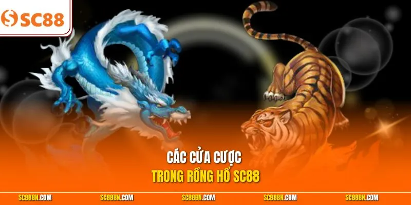 Các cửa cược trong Rồng Hổ SC88