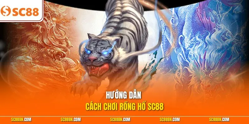 Hướng dẫn cách chơi Rồng Hổ SC88