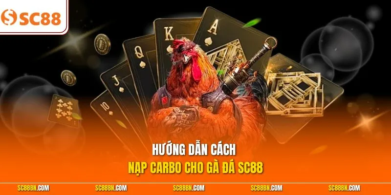 Hướng dẫn cách nạp Carbo cho gà đá SC88