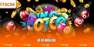 Xổ Số Miền Bắc - Kinh Nghiệm Chọn Cầu Chuẩn Từ Lão Sư SC88